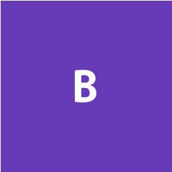Logo Bib للأمن والحراسات والخدمات الفندقيه