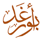 شعار أبو رغد للتصميم والبرمجة
