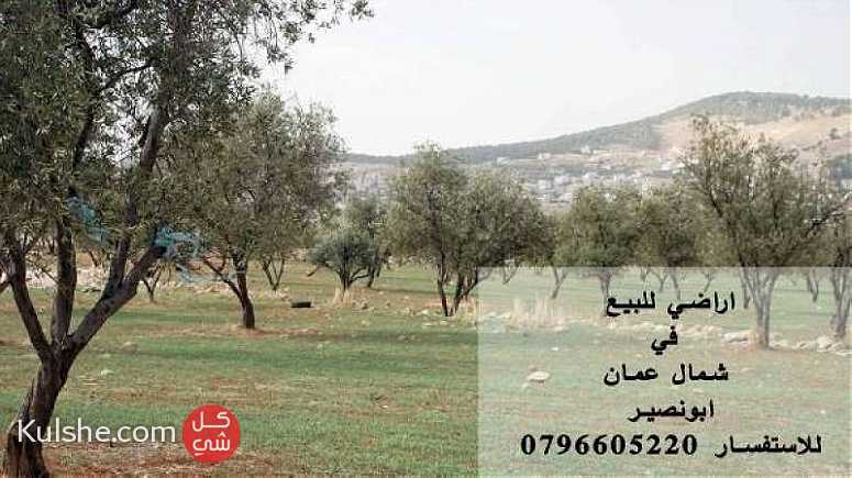 اراضي للبيع شمال عمان قرية ابو نصير ... - صورة 1