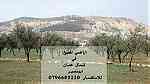 اراضي للبيع شمال عمان قرية ابو نصير ... - صورة 2