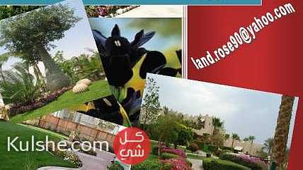لاند روز لاعمال اللاند سكيب و الحدائق بجميع محافظات مصر 01144419600 ... - صورة 1
