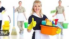 عمال تنظيف ... - Image 1