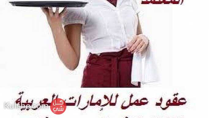 عقود عمل للإمارات العربية  نادلات كوفي شوب و مطاعم ... - Image 1
