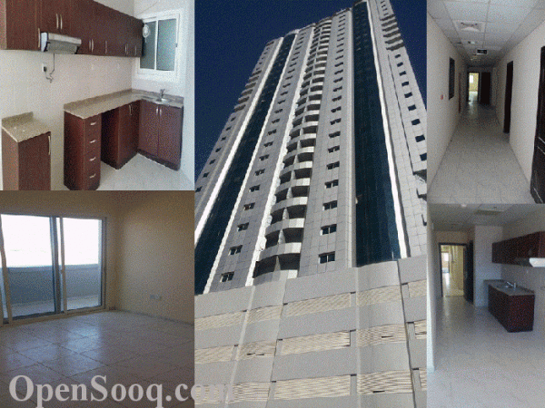 RAK Tower   Apartments for Rent in RAK  شقق للايجار برأس الخيمة  برج راس الخيمة ... - صورة 3