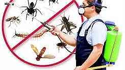 الوطنية لإبادة الحشرات ...