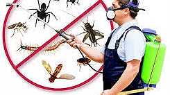 الوطنية لإبادة الحشرات ... - Image 1