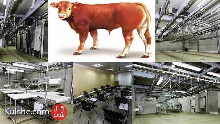 طلب تمويل مشروع لانتاج اللحوم الحمراء بمدينة برشيد جهة الشاوية ورديغة   المغرب ... - صورة 1