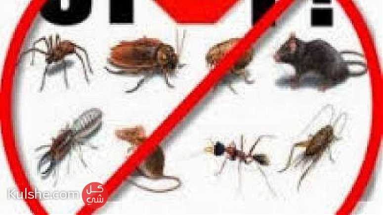 كفايه حشرات فى الصيف ... - Image 1