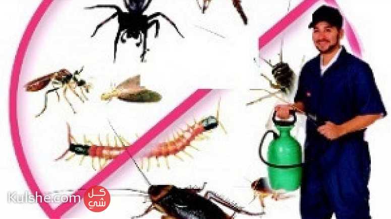 الأمان لخدمات التنظيف ومكافحة الحشرات ... - Image 1