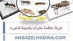 شركة مكافحة حشرات بالمدينة المنورة 0553885731 ... - صورة 1