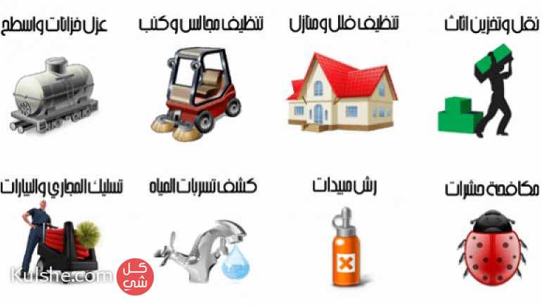 شركة مكافحة حشرات وتنظيف منزلي بالمدينة المنوره 0536680270 النجار ... - Image 1