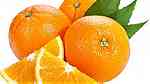 fresh navel orange  best price ... - Image 1