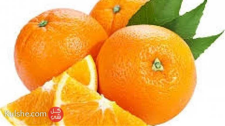 fresh navel orange  best price ... - صورة 1