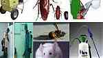 شركة مكافحة حشرات بالمدينة المنورة 0536680270 النجار ... - صورة 2