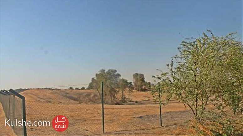 للبيع اراضي مزارع في الخوانيج العوير الهباب وادي العمردي دبي ... - صورة 1