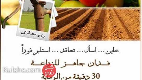 مزارع للبيع بمصر الفيوم الصحراوى ... - Image 1