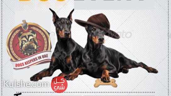 تجمع للكلاب dog event 27 1 ... - Image 1