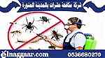 شركة مكافحة حشرات بالمدينة المنورة 0536680270 شركة النجار ... - صورة 2