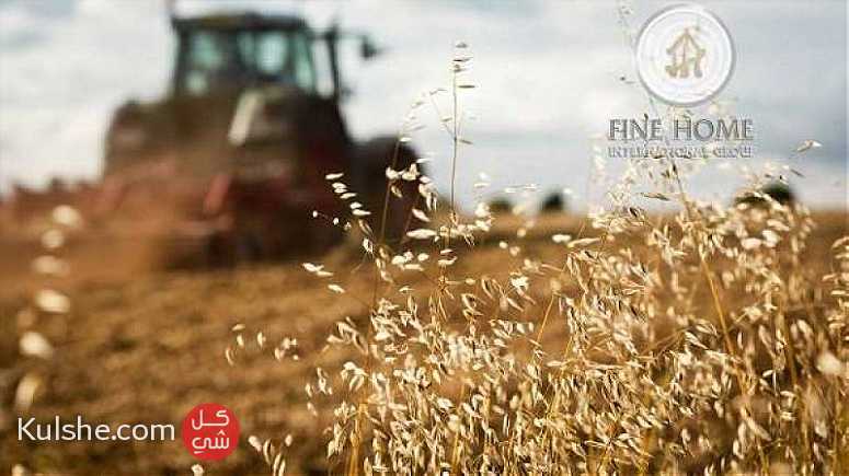 للبيع مزرعة مساحة 28 الف قدم مربع في المنطقة الغربية  أبوظبي ... - Image 1