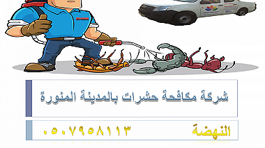 شركة مكافحة حشرات بالمدينة المنورة 0507958113   النهضة ...
