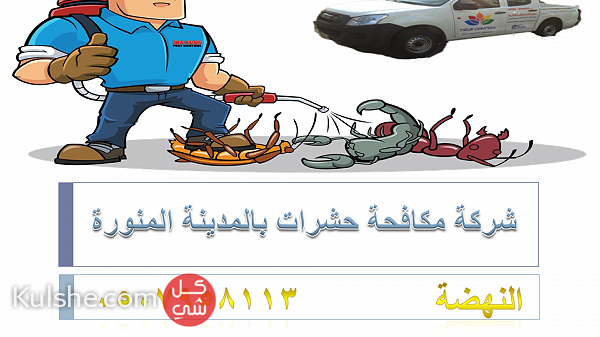 شركة مكافحة حشرات بالمدينة المنورة 0507958113   النهضة ... - Image 1