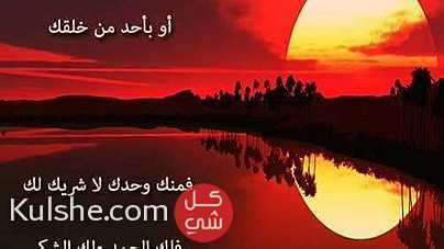 شقه للايجار فتره الصيف ... - Image 1