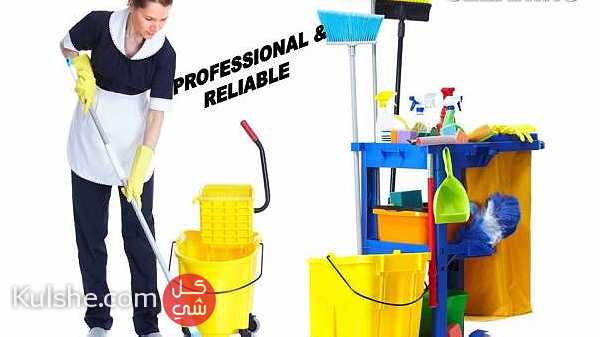 ALL TYPE OF CLEANING SERVICES PROVIDING ... - Image 1