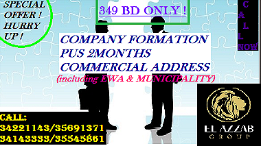 Company Formation plus 2 months Commercial Address ...