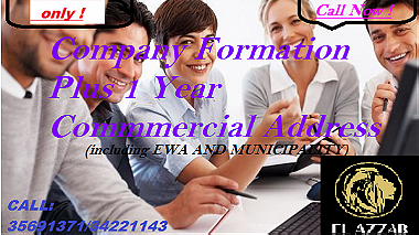 Company Formation plus 1 year Commercial Address ...