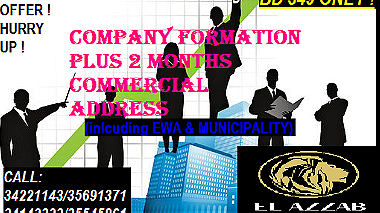 Company Formation plus 2months Commercial Address ...