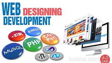 Professional Web Design & Development Service in Dubai