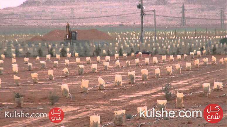 استثمار زراعي لأرض مساحتها 30 هكتارقرب مدينة الرشيدية - Image 1