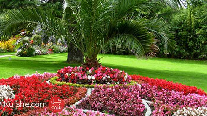 البستنة البستاني المحترف المغرب - صورة 1