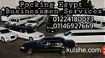بوكينج ايجيبت لخدمات رجال الاعمال والخدمات السياحيه في مصر - Image 3