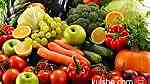 تصدير المنتجات الزراعية مثل الفواكه الطازجة والخضروات - صورة 1