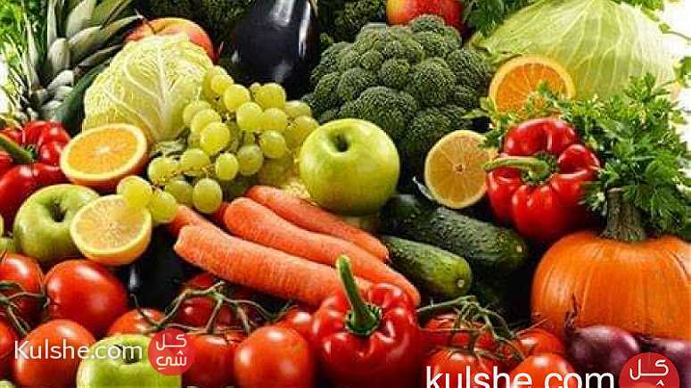تصدير المنتجات الزراعية مثل الفواكه الطازجة والخضروات - Image 1