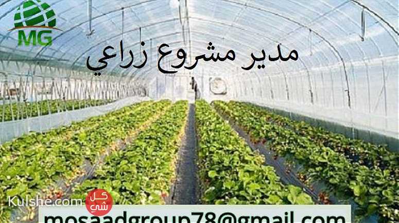 لكبرى شركات الزراعات المحمية (المكيفة) بالسعودية - Image 1
