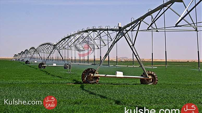 مشروع زراعي مساحة ألف فدان غرب مدينة الخرطوم لإنتاج البرسيم و القمح للشراكة - صورة 1