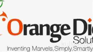 Orange Dice Solutions FZC LLC