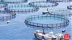 Projet aquaculture prêt clef en main - Image 1