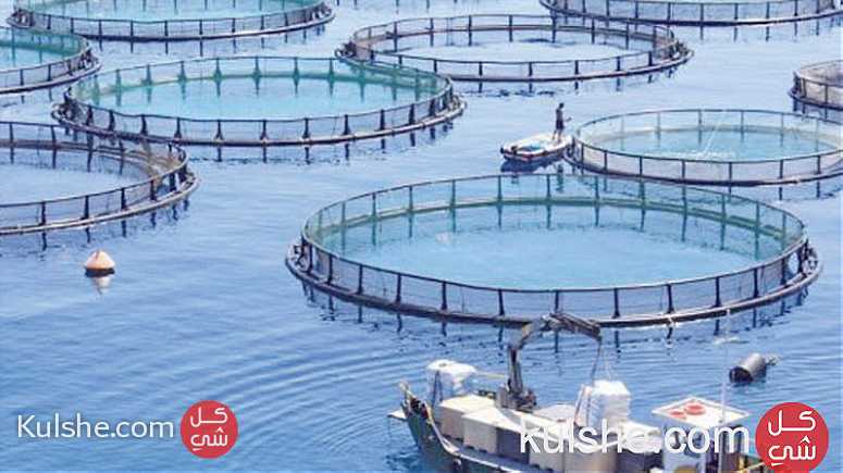 Projet aquaculture prêt clef en main - Image 1
