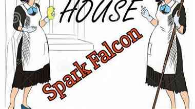 Spark falcon