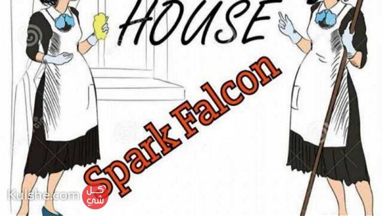Spark falcon - صورة 1