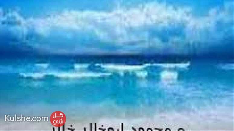للبيع اراضي على البحر فى خانيونس الرشيد - Image 1