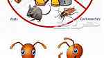 شركة مكافحة حشرات بالرياض - Image 4