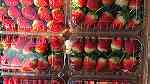 استيراد فريز ( فراولة ) و كافة أنواع الفواكه من تركيا - Image 1
