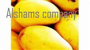 fresh mango with high quality