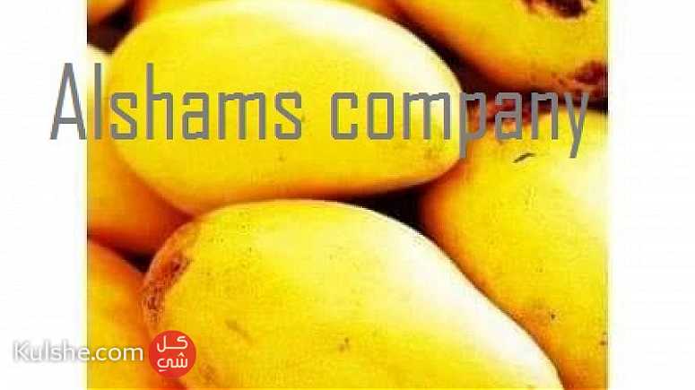 fresh mango with high quality - صورة 1