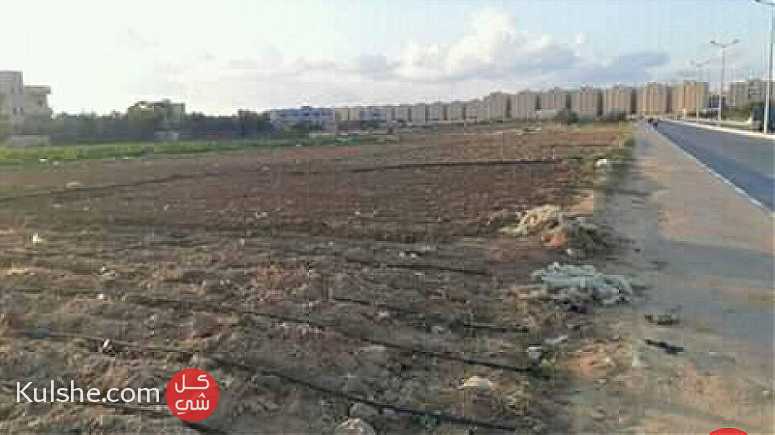 للبيع اراضي من المالك فى خانيونس طابو تجاريه سكنية غرب مسجد الحمد - صورة 1