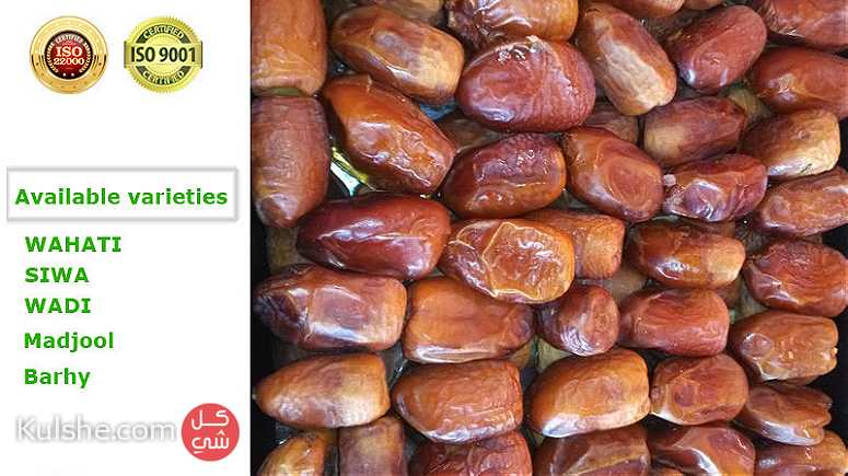 Dates factory - Image 1